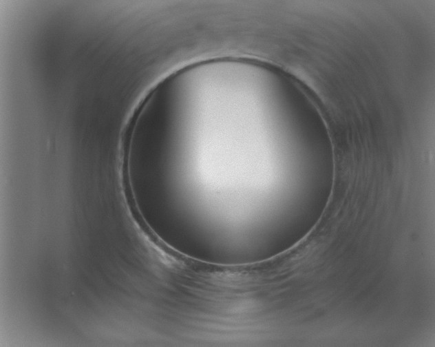 X0000071391508200607071854