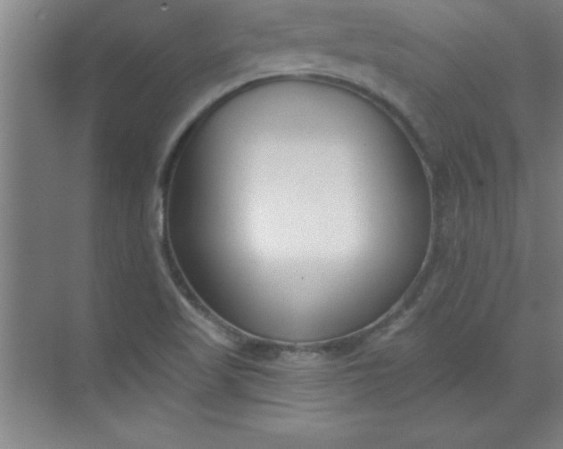 X0000071391509200607071855