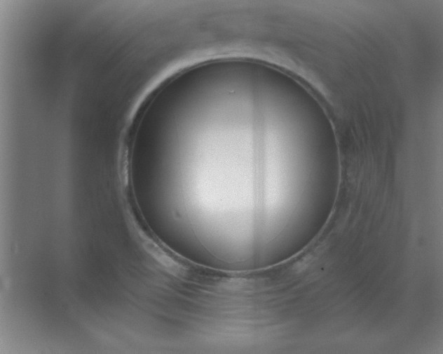 X0000071391510200607071855