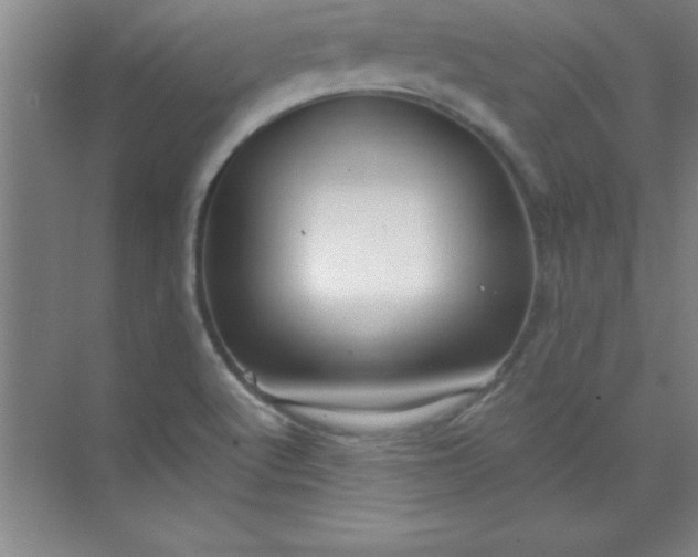 X0000071391512200607071855