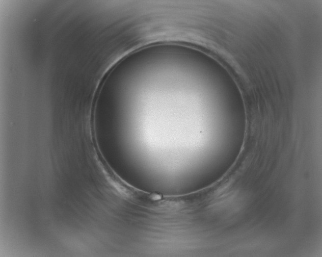 X0000071391513200607071855