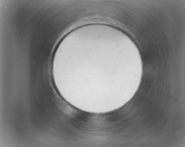 X0000071391514200607071855