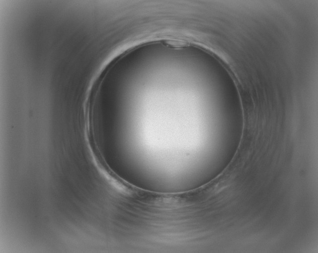 X0000071391515200607071855