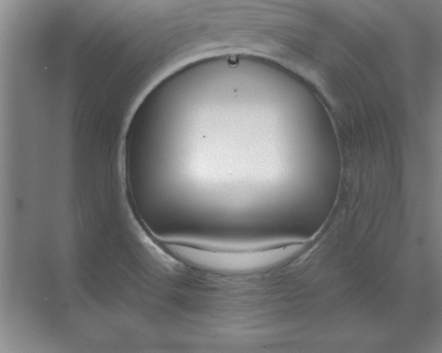 X0000071391516200607071855