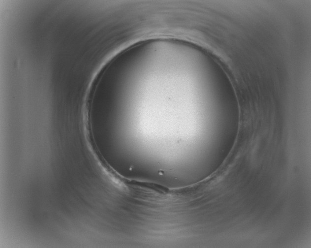 X0000071391517200607071855