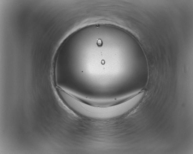 X0000071391518200607071855