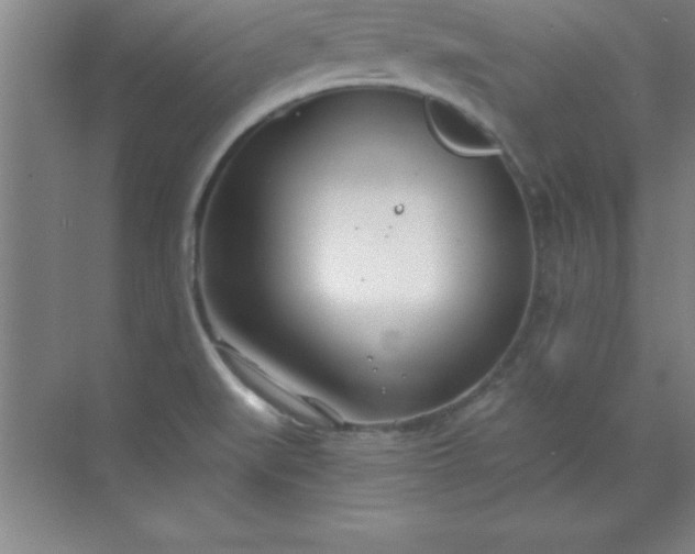 X0000071391519200607071855