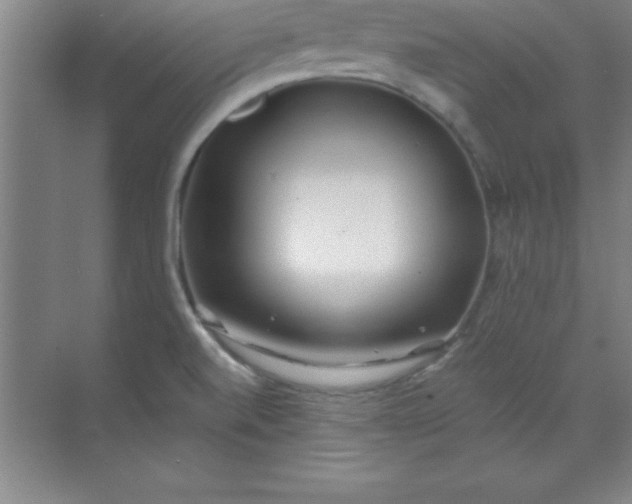 X0000071391520200607071855