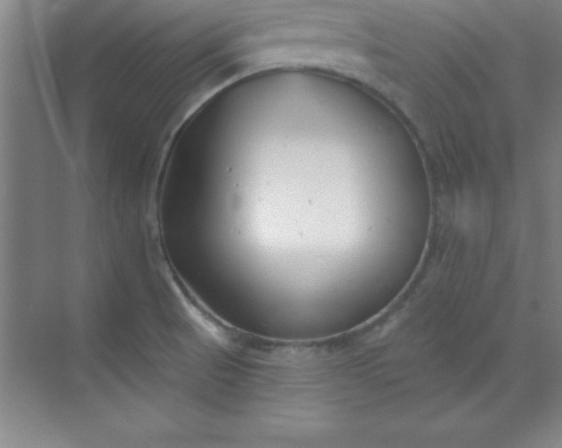 X0000071391521200607071855