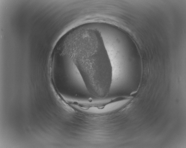 X0000071391522200607071855