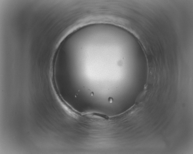 X0000071391523200607071855