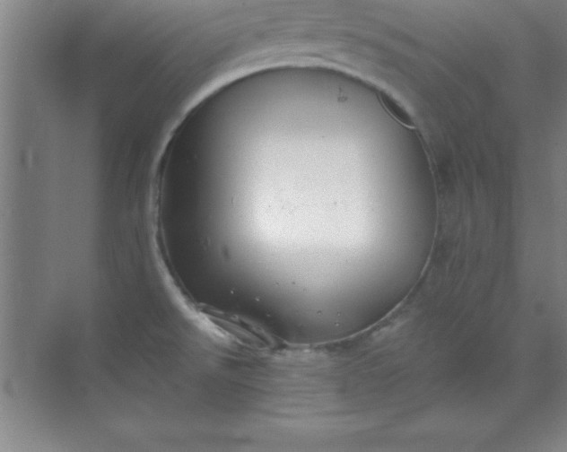 X0000071391526200607071855