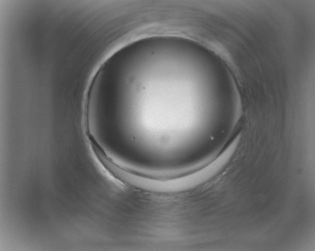 X0000071391528200607071855