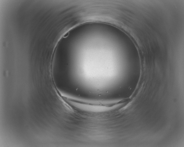 X0000071391529200607071855