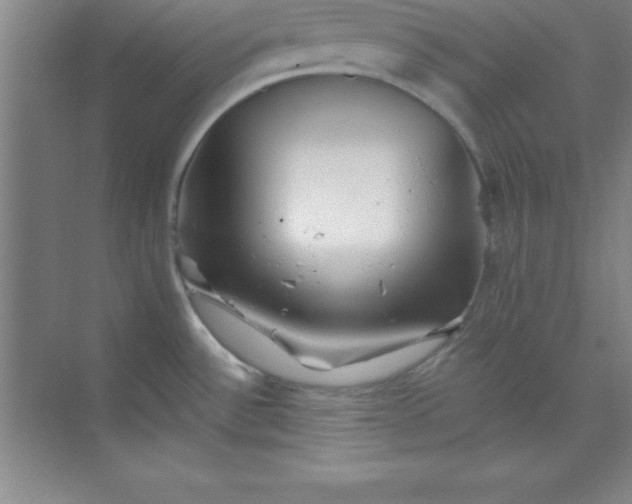 X0000071391532200607071855