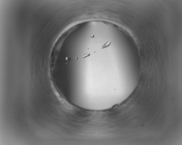 X0000071391534200607071855