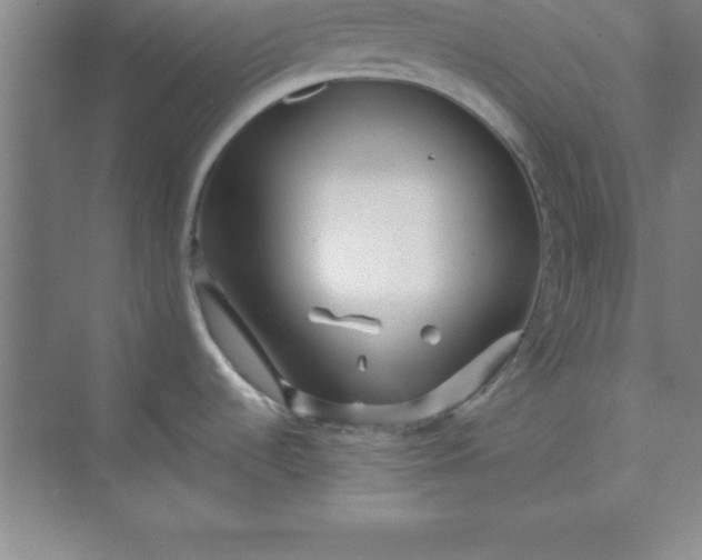 X0000071391536200607071855