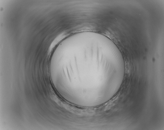 X0000071390004200607142147