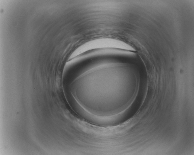 X0000071390035200607142146