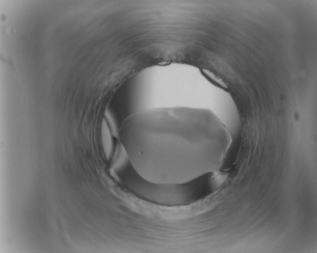X0000071390039200607142146
