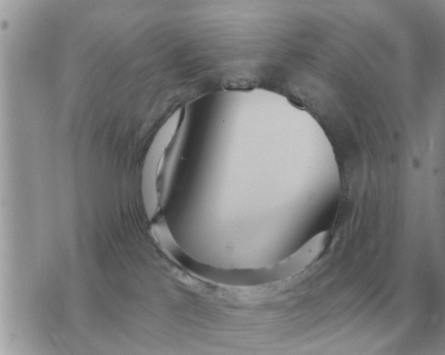 X0000071390041200607142146