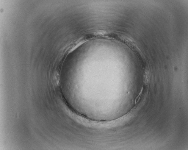 X0000071390043200607142146