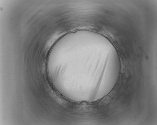 X0000071390098200607142145