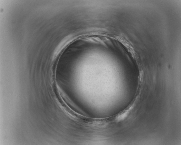 X0000071390101200607142145