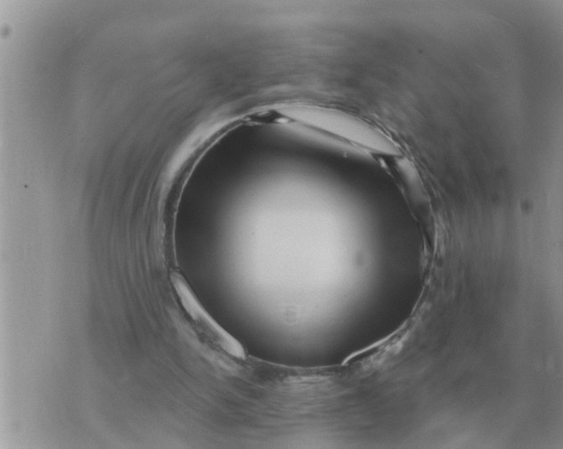 X0000071390150200607142144