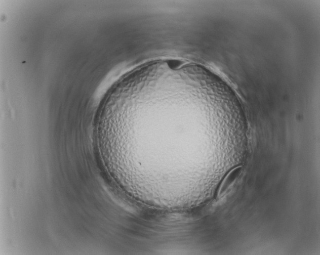 X0000071390151200607142144