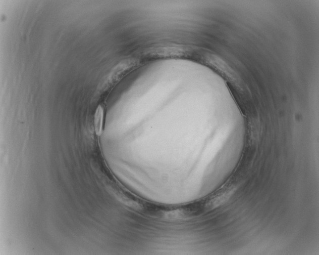 X0000071390309200607142142