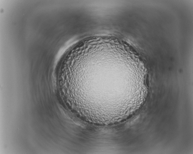 X0000071390343200607142141