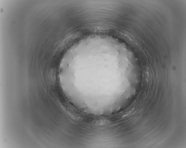 X0000071390695200607142136