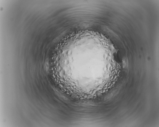 X0000071391011200607142130