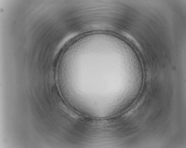 X0000071391019200607142130