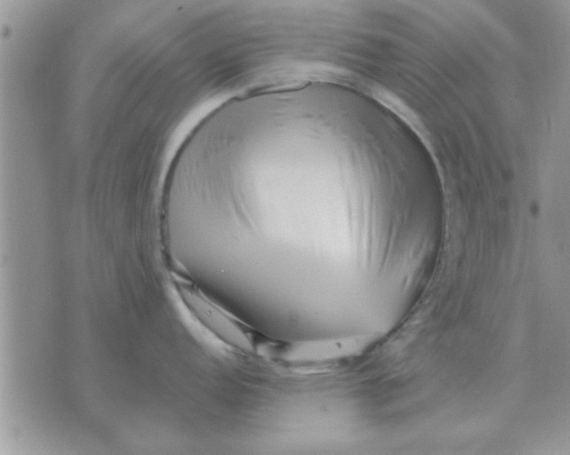 X0000071391152200607142129