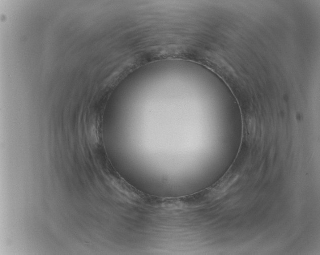 X0000071391250200607142127