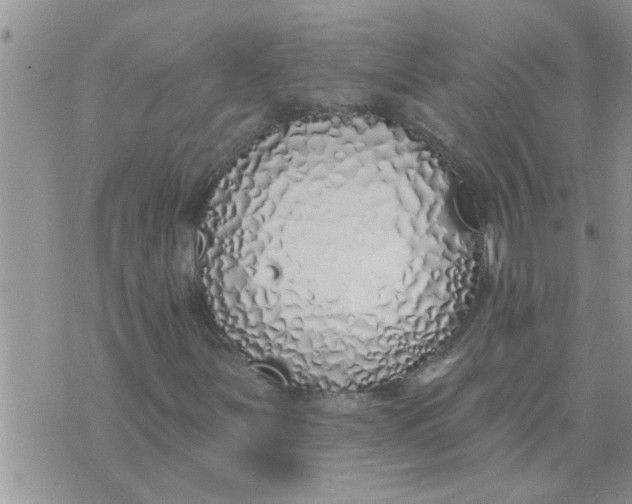 X0000071391251200607142127