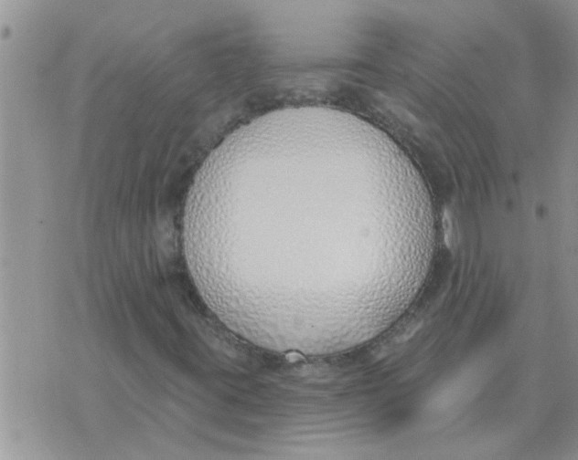 X0000071391395200607142124