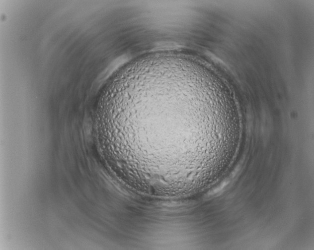 X0000071391401200607142124