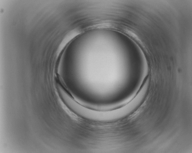 X0000071391426200607142124