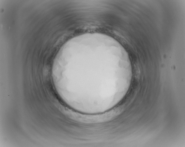 X0000071390034200607212249