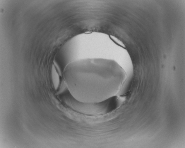 X0000071390039200607212248
