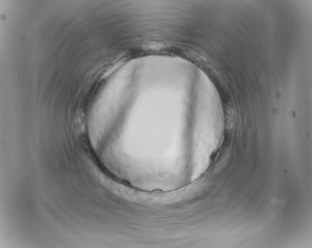 X0000071390043200607212248