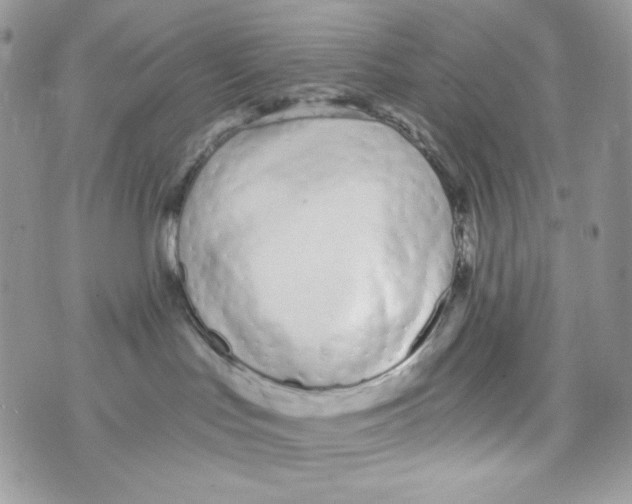 X0000071390047200607212248