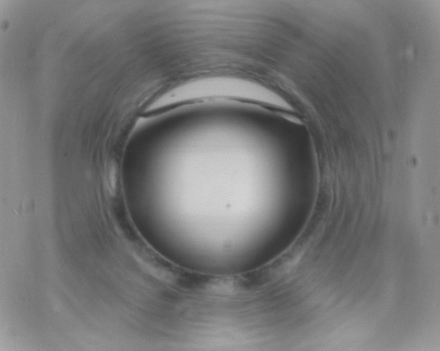 X0000071390076200607212248