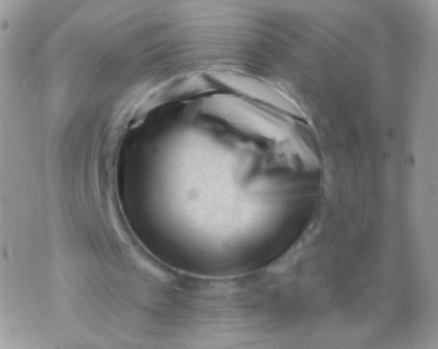 X0000071390097200607212247