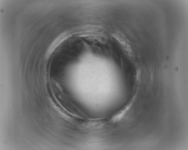 X0000071390101200607212247