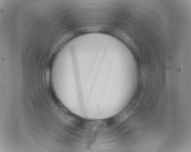 X0000071390118200607212247