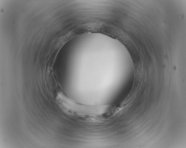 X0000071390137200607212247